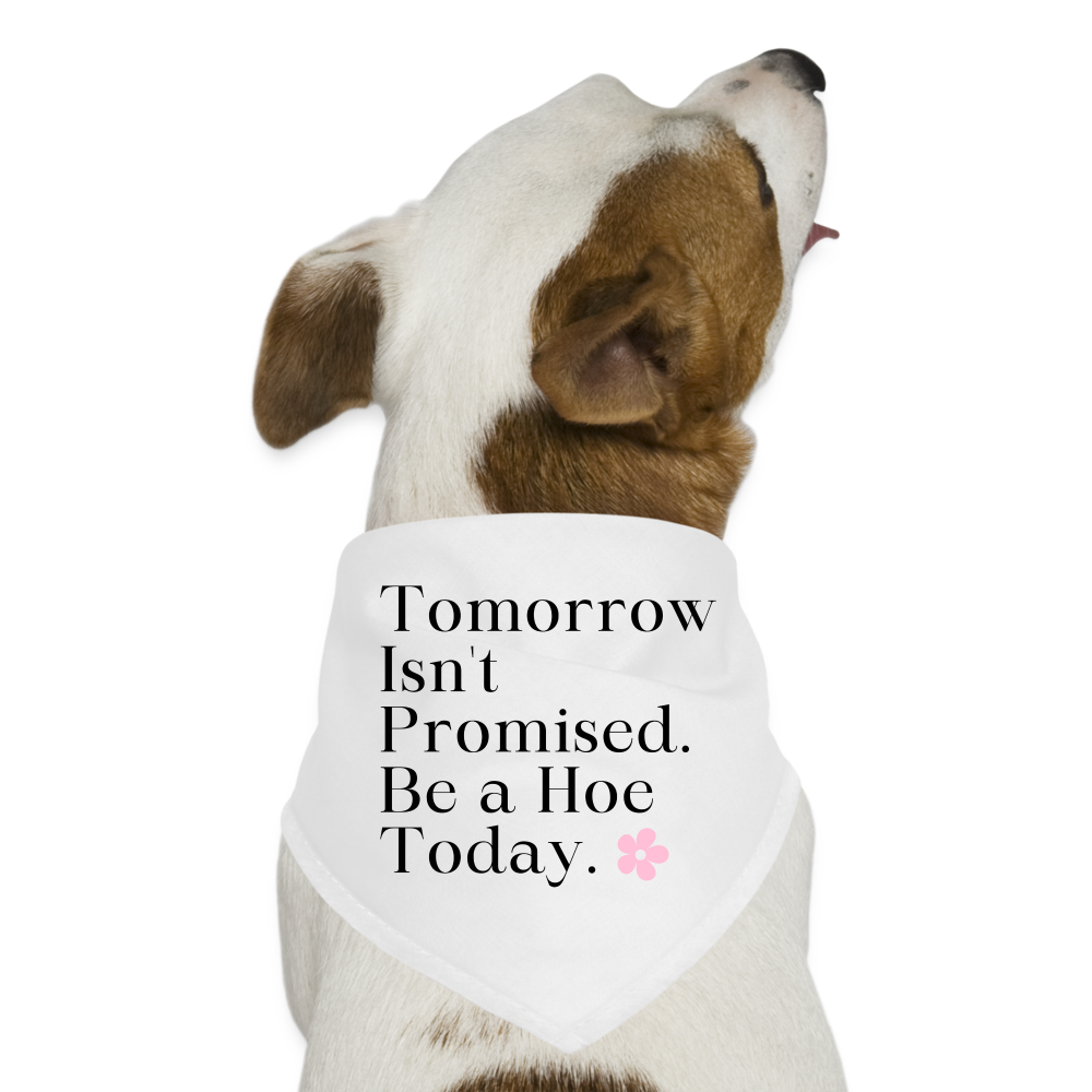 Tomorrow Isn't Promised. Be A Hoe Today Dog Bandana - white